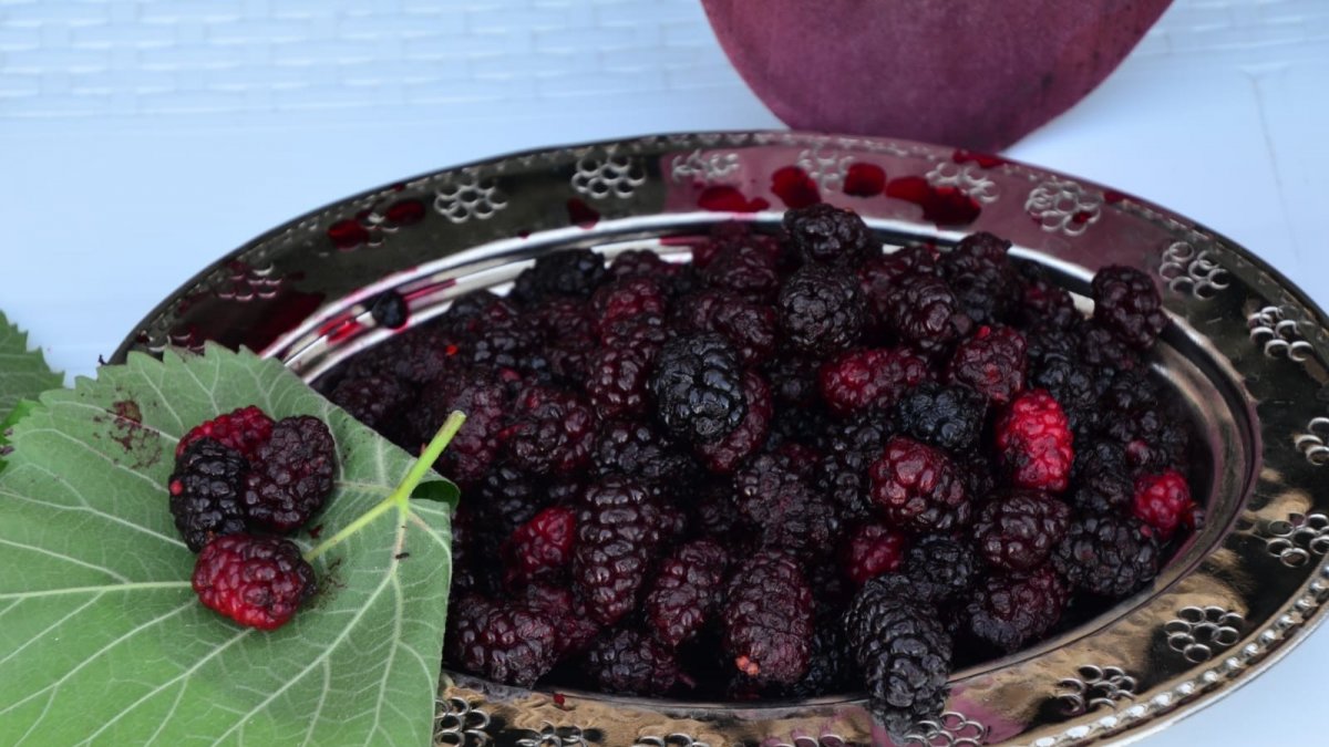 Şifa kaynağı Horum dutu pekmezi gramla satılıyor