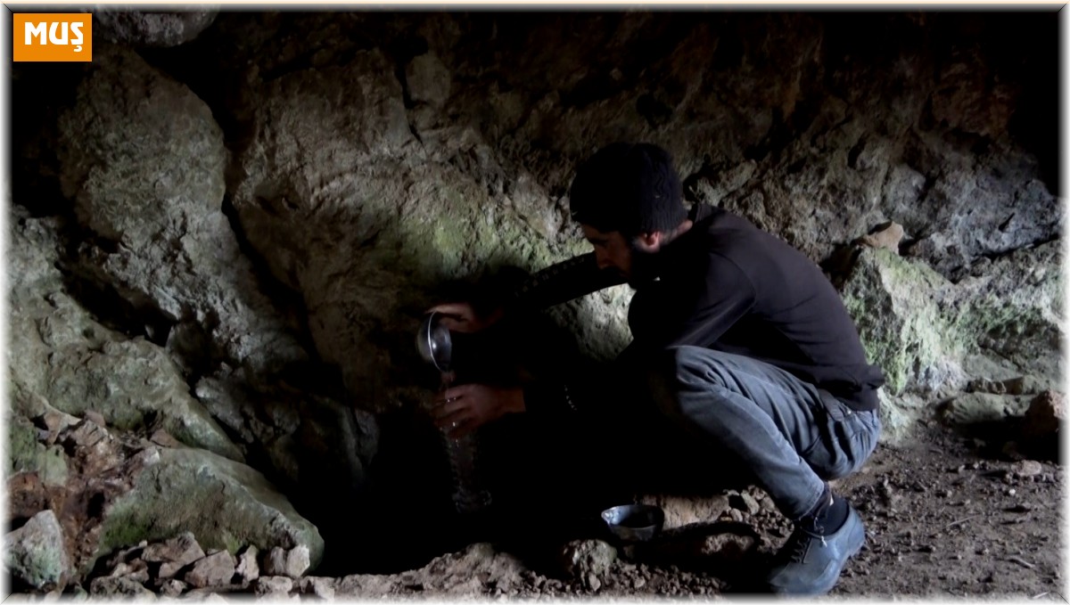 Şifalı olduğuna inanılan mağara suyuyla mayalanan süt yoğurt oldu