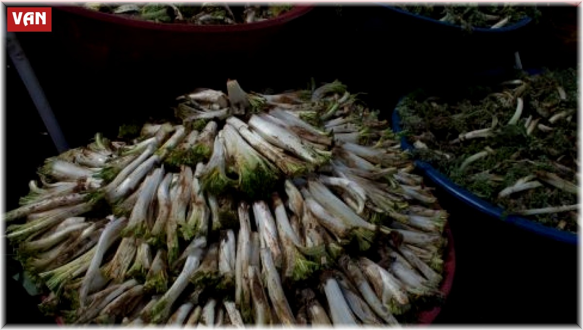 Şifalı otlar tezgâhlardaki yerini aldı