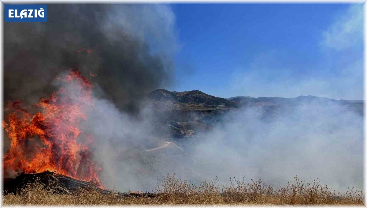 Sigara izmariti otluk alanı tutuşturdu