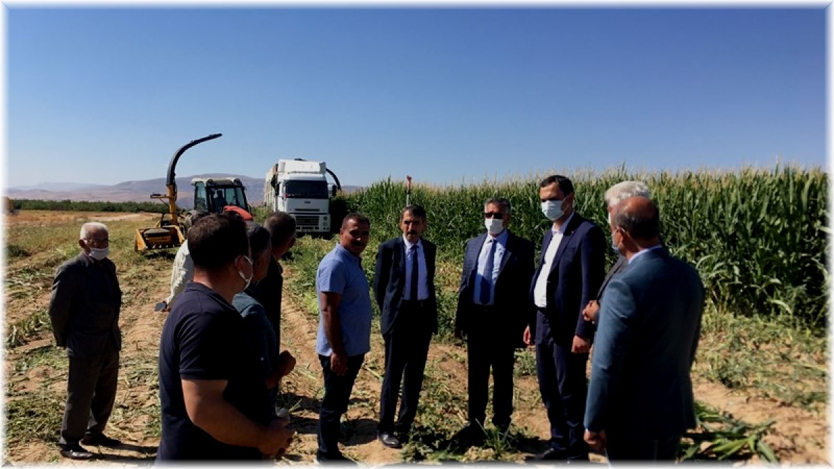 "Silajlık Mısır Hasadı Tarla Günü" etkinliği