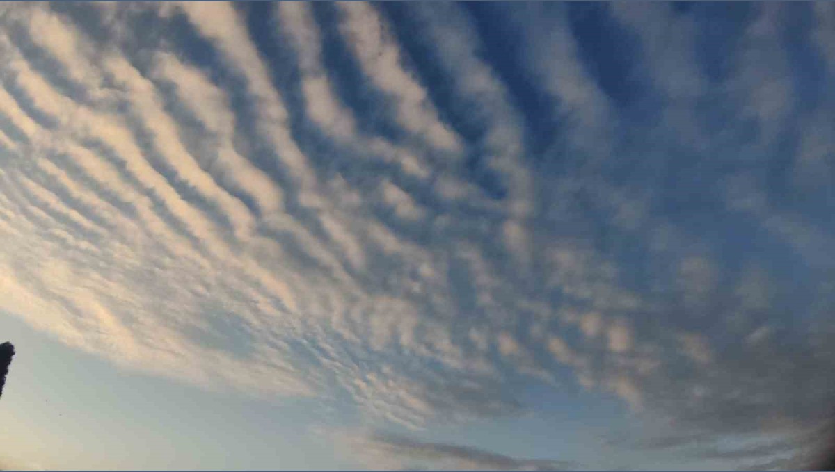 Sirrokümülüs bulutları Van semalarında görsel şölen sundu