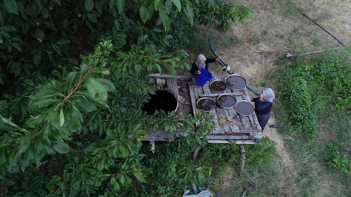 Sivan dut pekmezi geleneksel yöntemlerle dalından sofraya uzanıyor