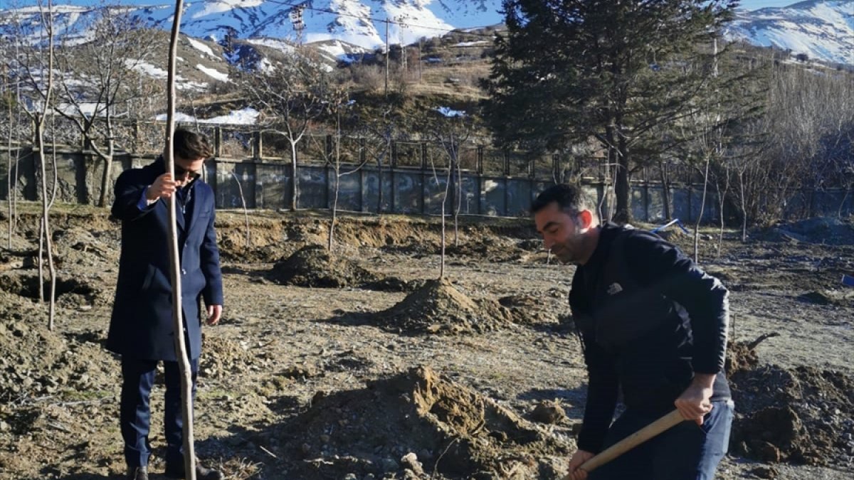 Sivrice'de fidanlar toprakla buluştu