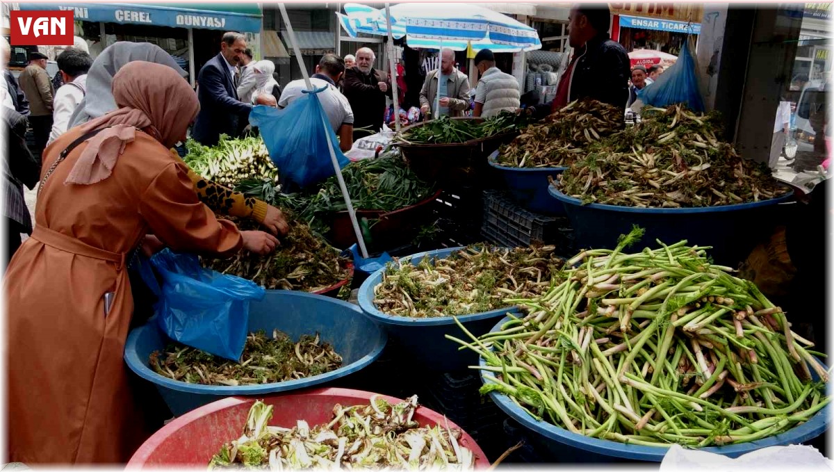 Sofraların vazgeçilmesi otlu peynire tat veren bitkilere büyük ilgi