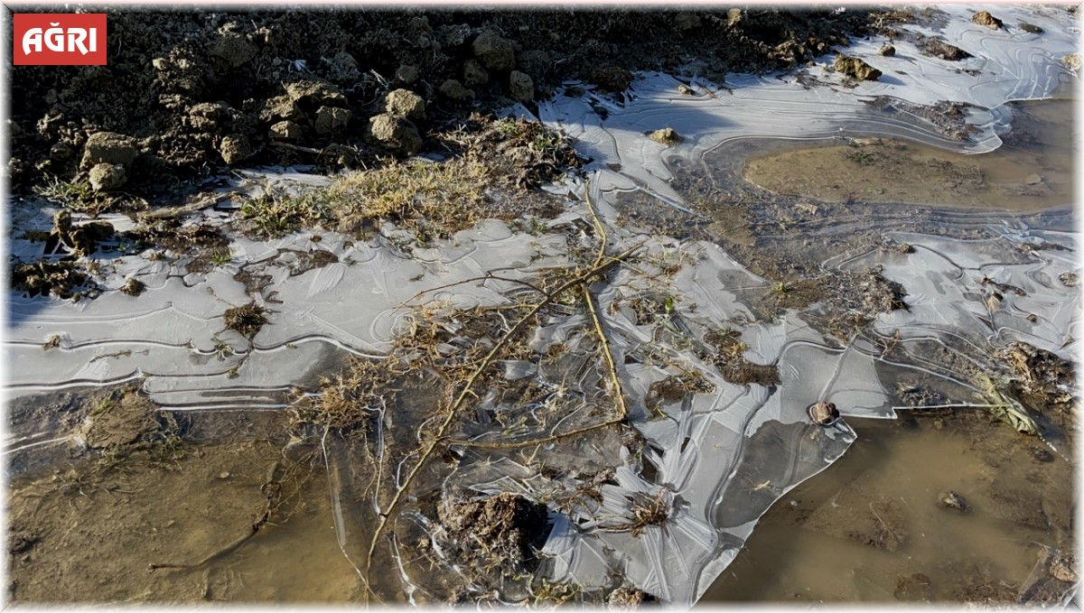 Soğuk hava Ağrı'yı etkisi altına aldı