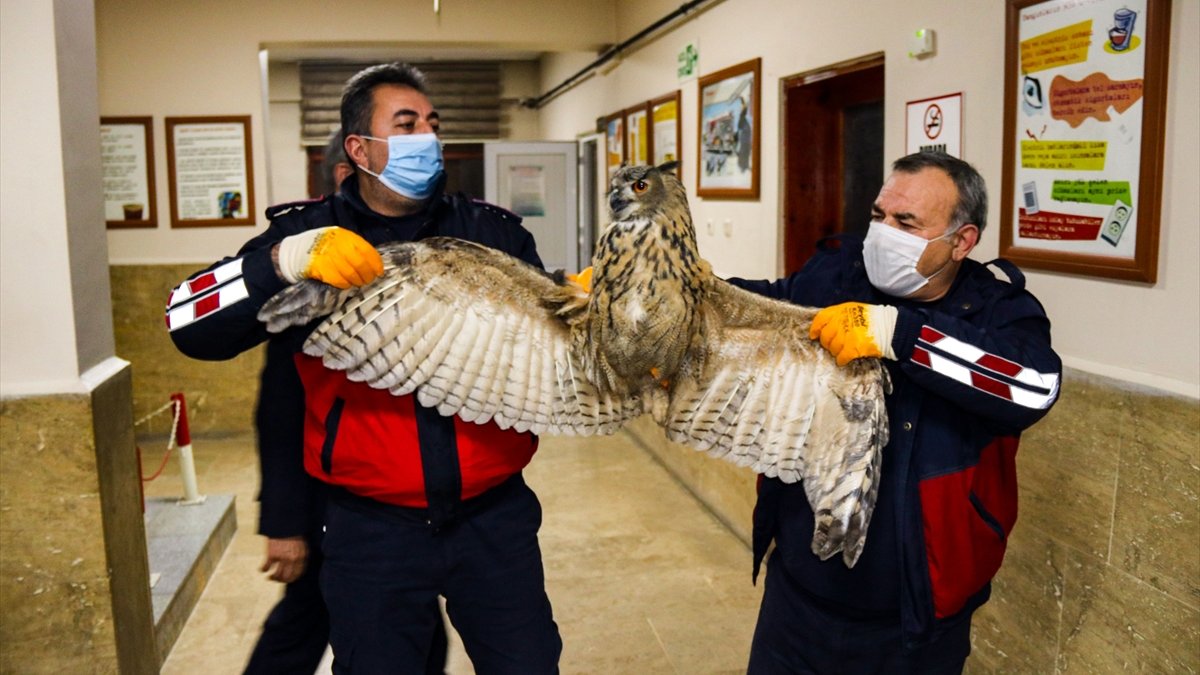 Soğuk havada bitkin düşüp apartman boşluğunda mahsur kalan puhuyu itfaiye kurtardı