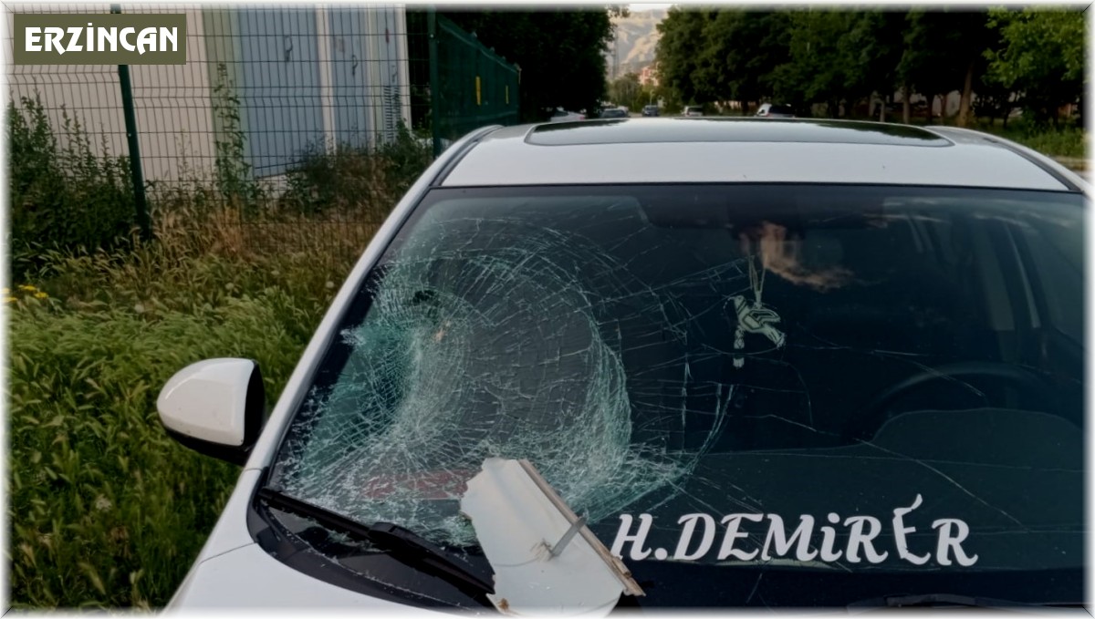 Sokak aydınlatma lambası aracın üzerine düştü