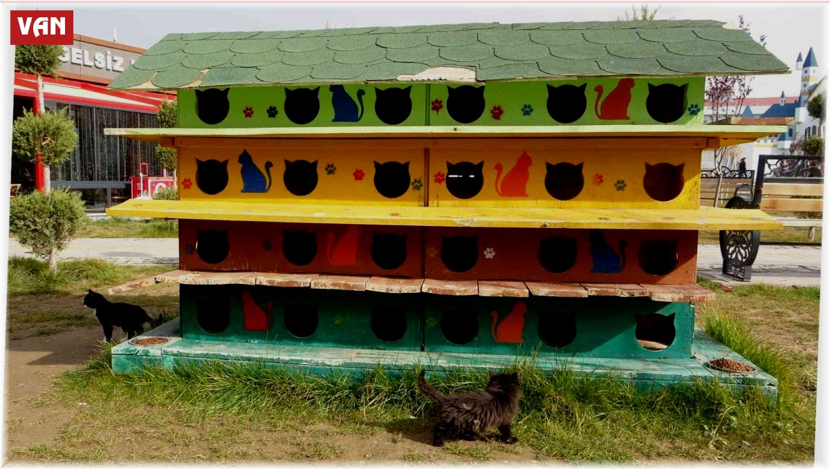 Sokak hayvanlarına dubleks ve tripleks yuva