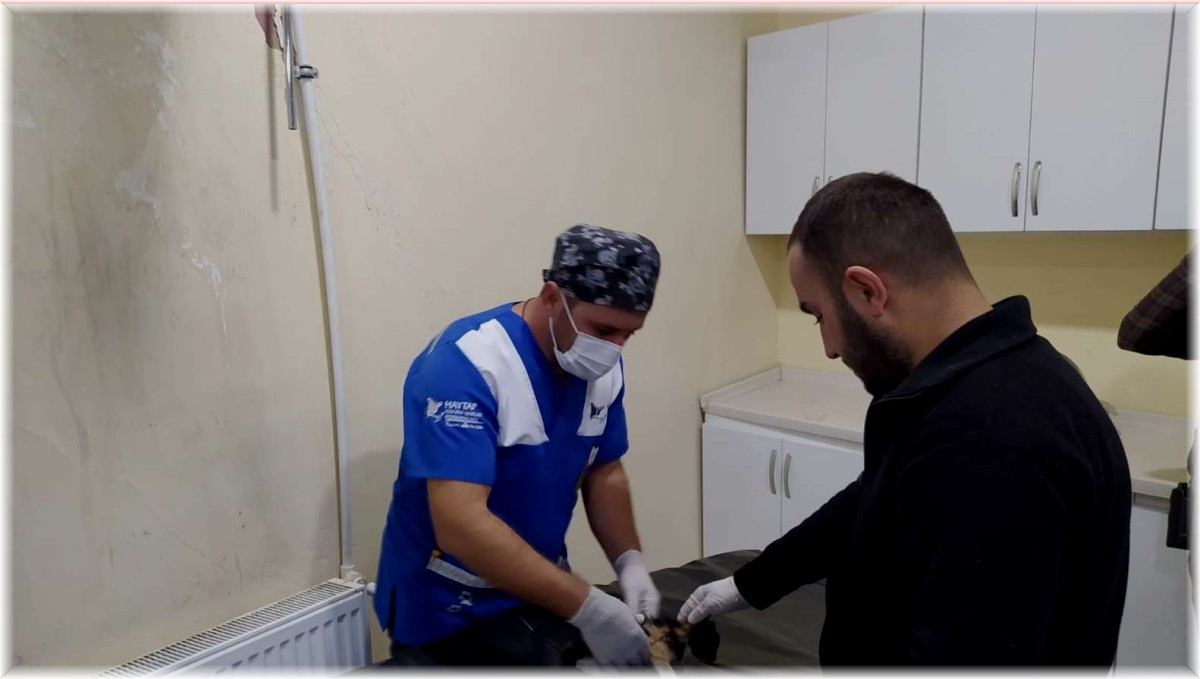 Sokak hayvanlarına polis şefkati