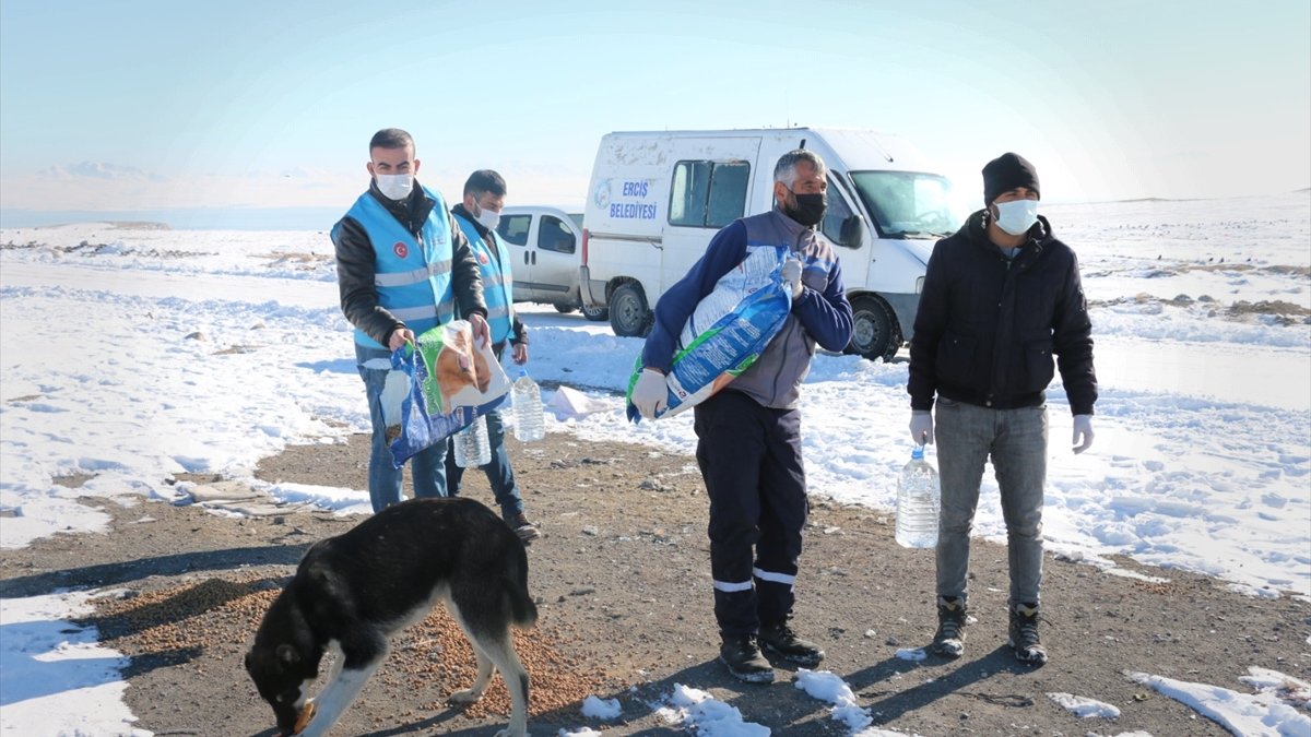 Sokak hayvanlarına "vefa" desteği