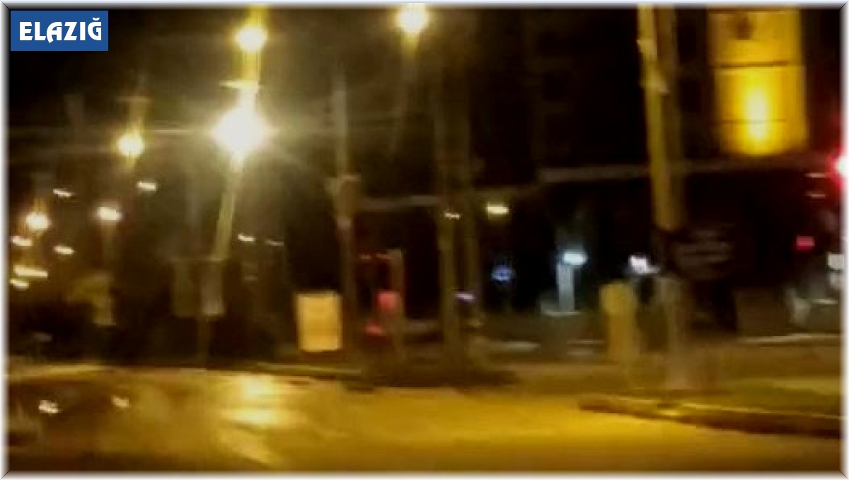 Sokak köpeği parçaladığı kediyi ağzında götürdü