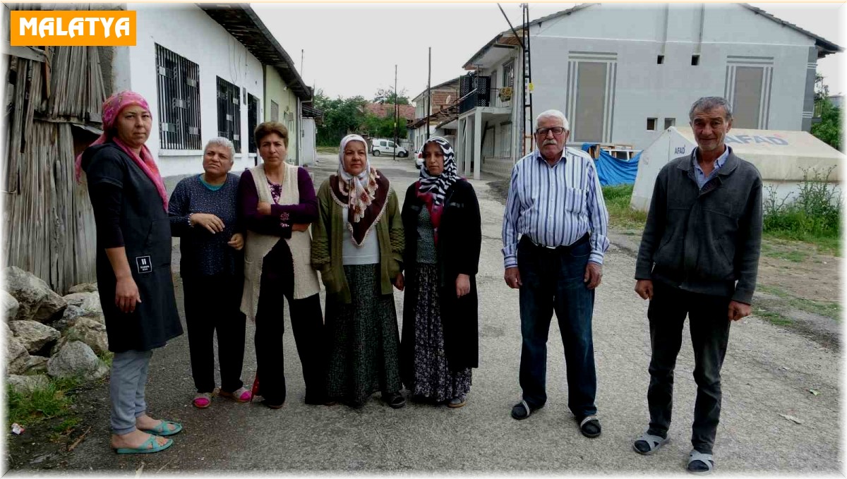 Sokak köpekleri mahalleliyi canından bezdirdi