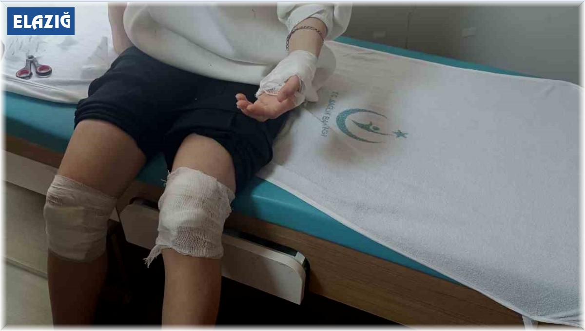 Sokak köpeklerinin saldırısına uğrayan 17 yaşındaki kız yaralandı