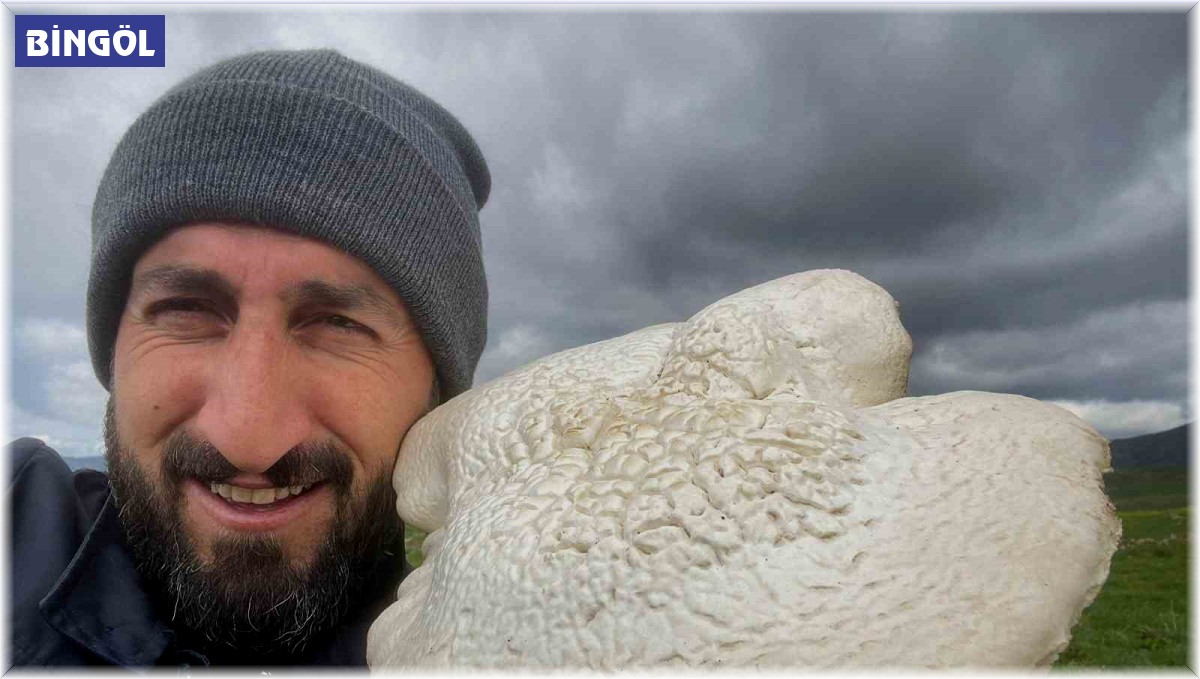 Solhan'da 2 kilogramlık mantar bulundu