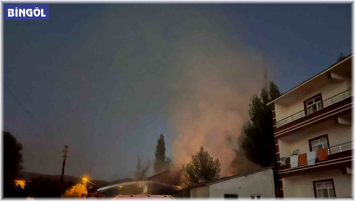 Solhan'da ahır yangını