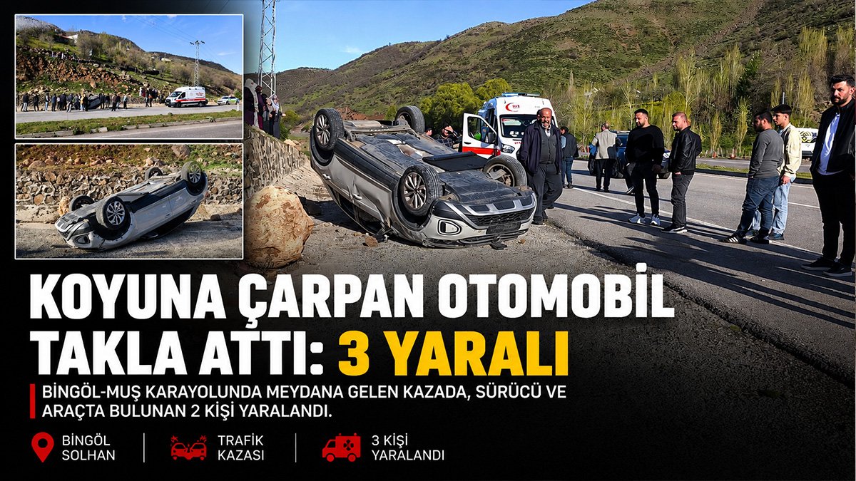 Solhan'da koyuna çarpan otomobil devrildi, 3 kişi yaralandı