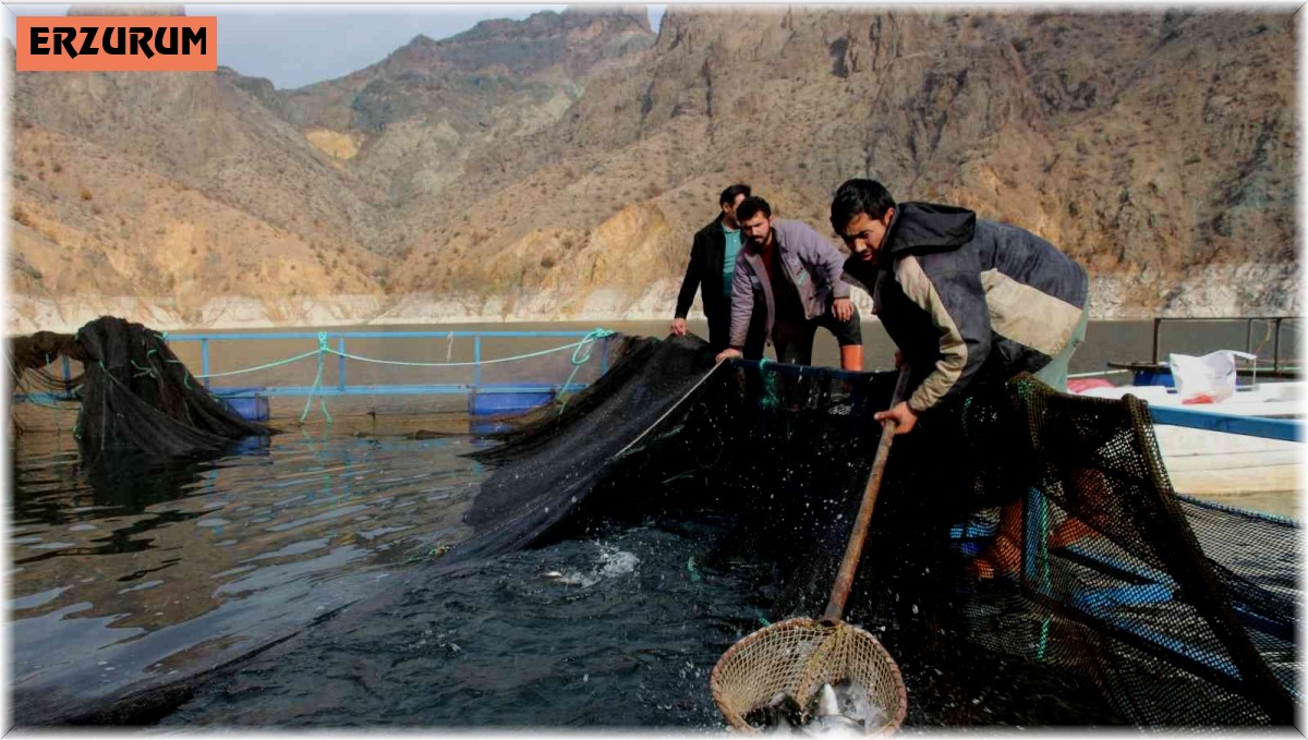 Somon balığı üretiminde Norveç'e rakip oldu