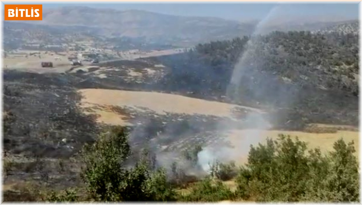 Son dakika Bitlis: Hizan'da örtü yangını