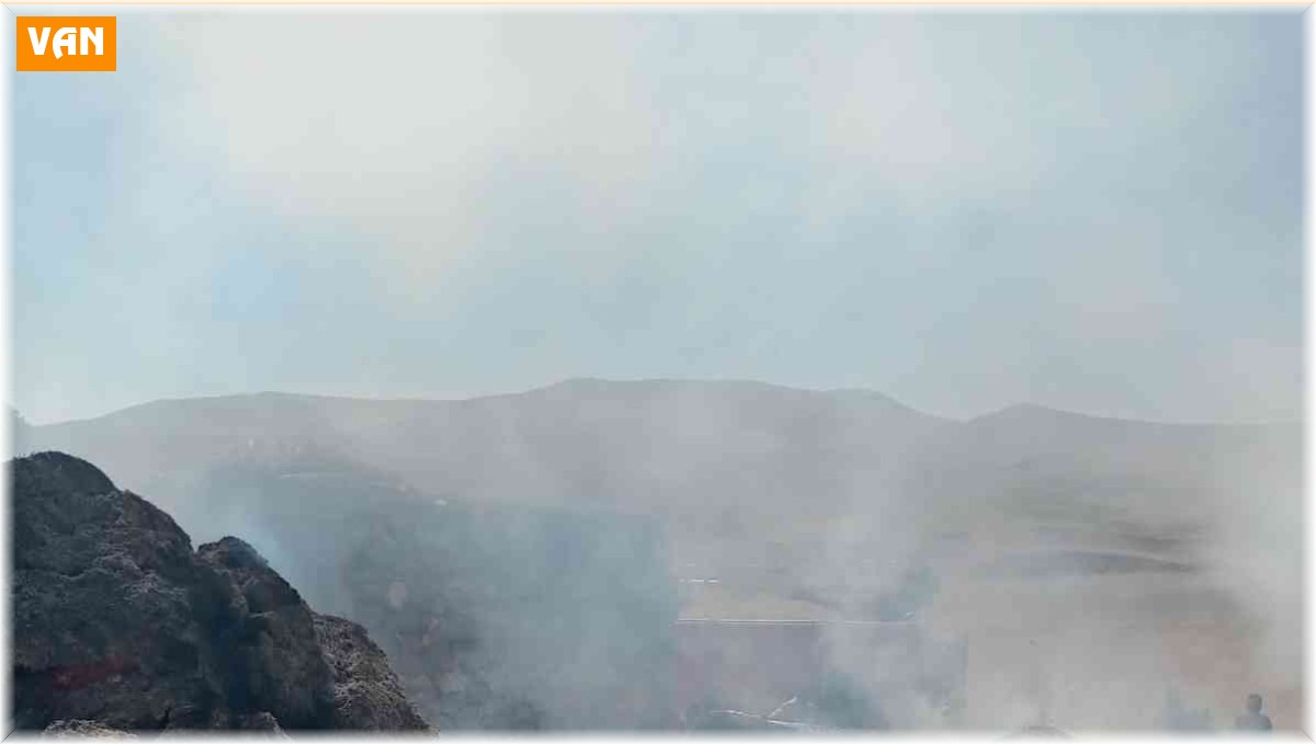 Son dakika Van!! Gürpınar'da ot ve samanlar küle döndü