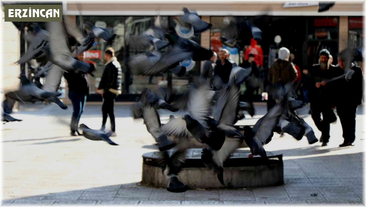 Son yılların en sıcak kış ayını geçiren Erzincan'da vatandaş şaşkın