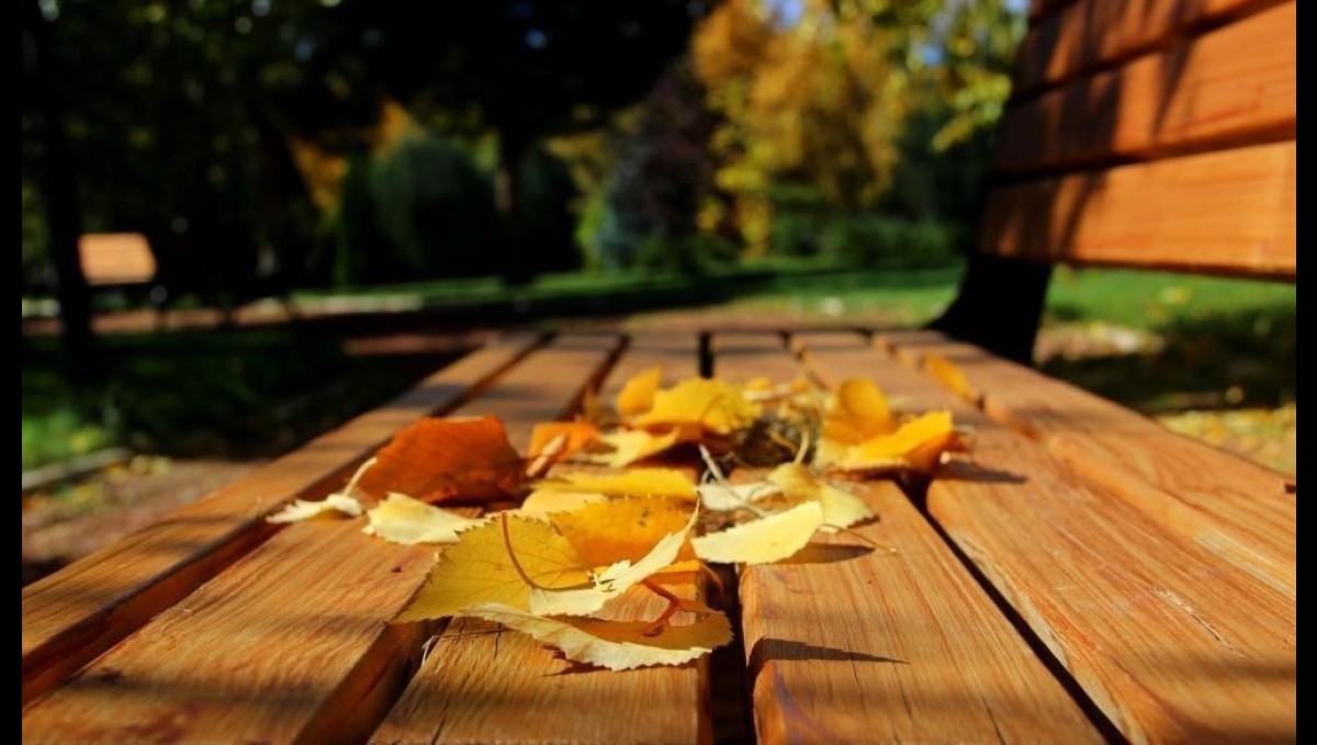 Sonbahar halsizliğine diyetisyenlerden tavsiyeler