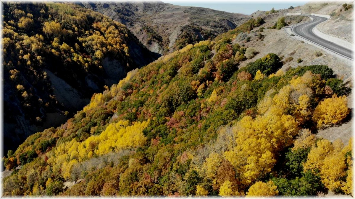 Sonbahar ile renk cümbüşü yaşanıyor