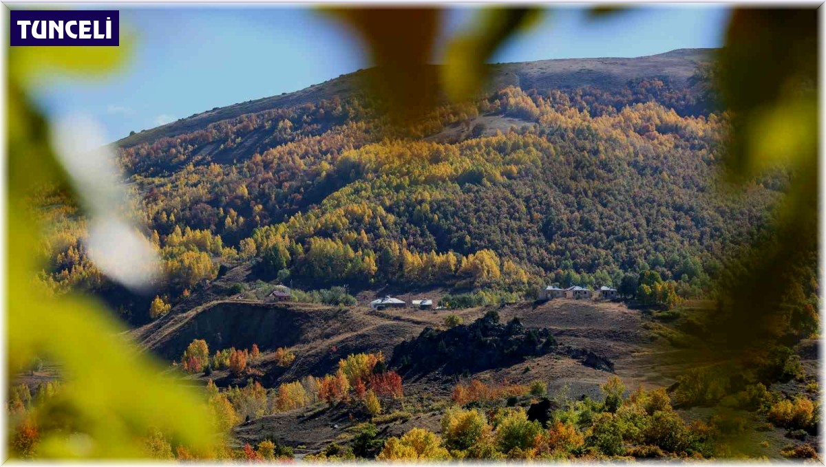Sonbahar renklerine bürünen Tunceli'de doğa, görsel şölen sunuyor