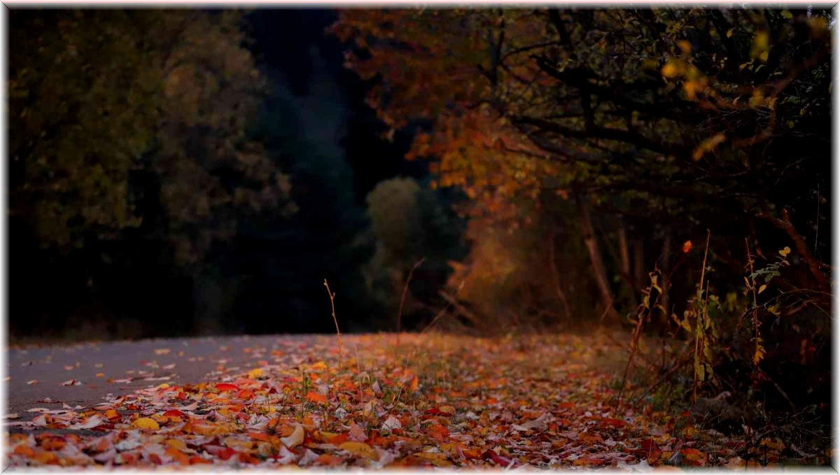 Sonbaharda Posof tablo gibi