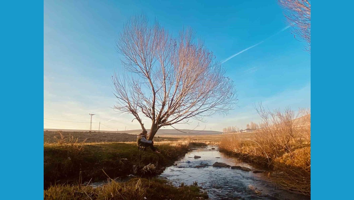 Sonbaharda sararan yapraklar görsel şölen oluşturdu