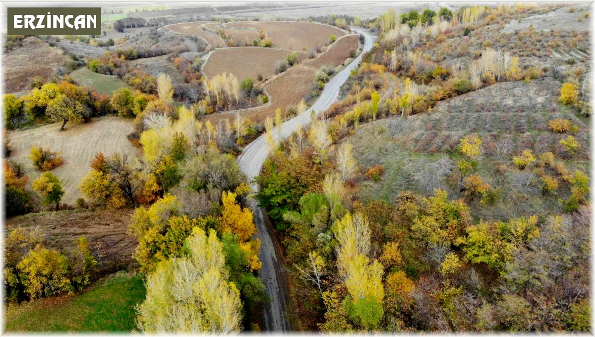 Sonbahardan kışa geçişte renk cümbüşü oluşturan ağaçlar farklı güzelliğe büründü