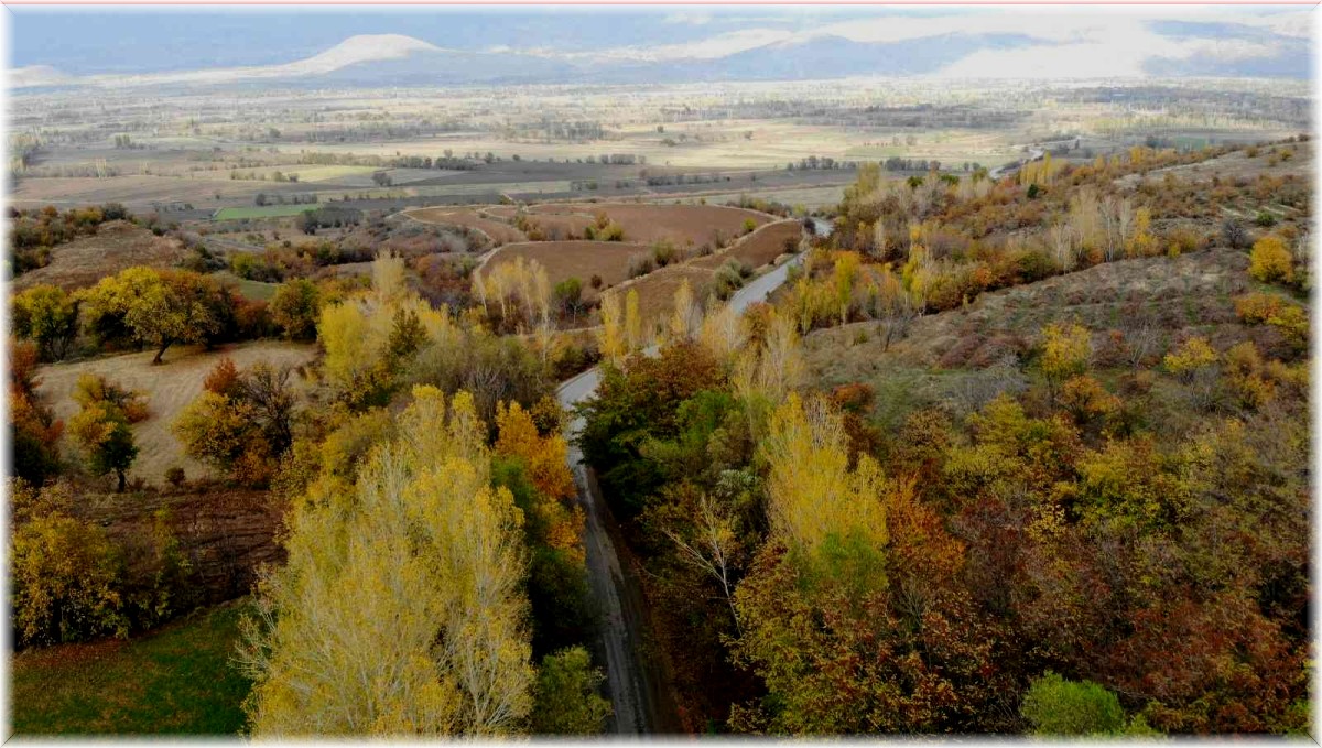 Sonbahardan kışa geçişte renk cümbüşü oluşturan ağaçlar farklı güzelliğe büründü