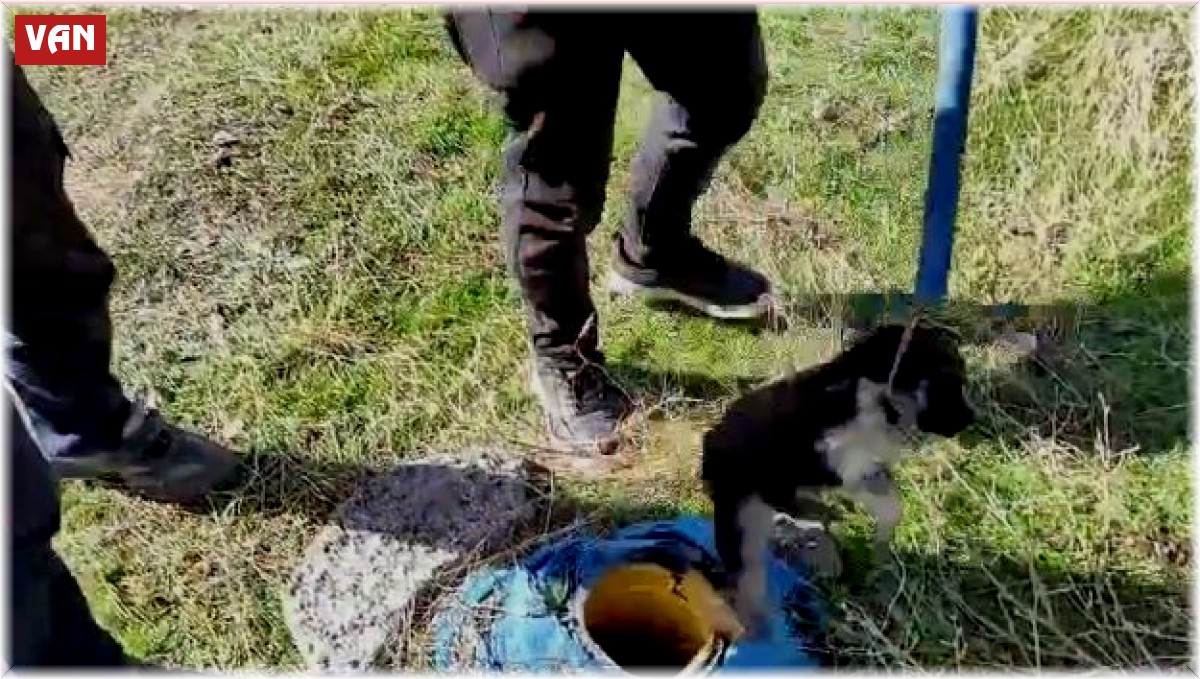 Sondaj kuyusuna düşen yavru köpek kurtarıldı