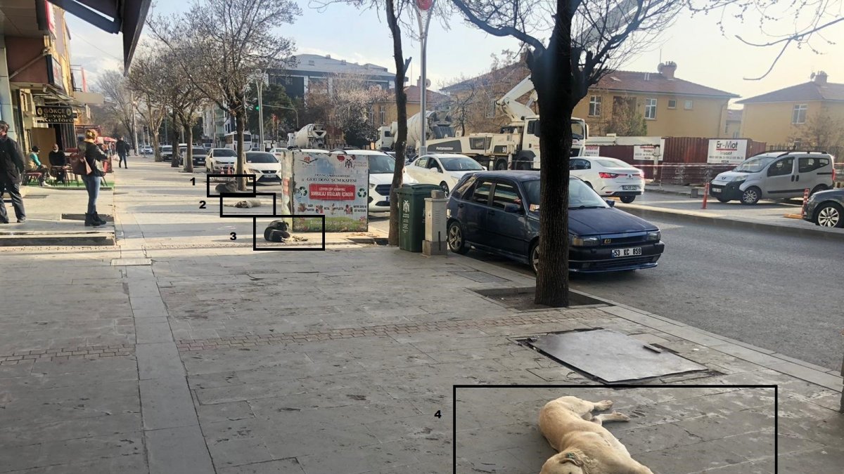 Sosyal mesafeli şekerleme