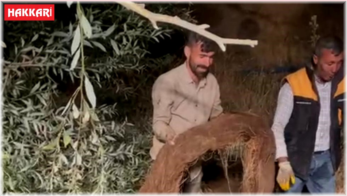 Su borusundan çıkan ağaç köklerini yılan zannettiler