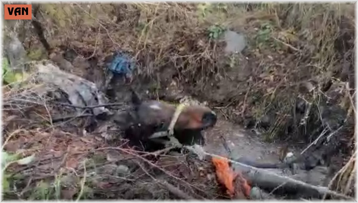 Su dolu kuyuya düşen at kurtarıldı