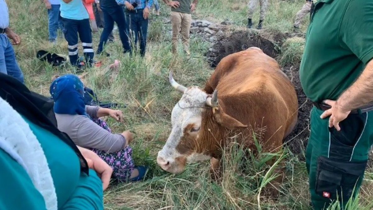 Su kuyusuna düşen inek, 40 dakikalık çalışmayla kurtarıldı