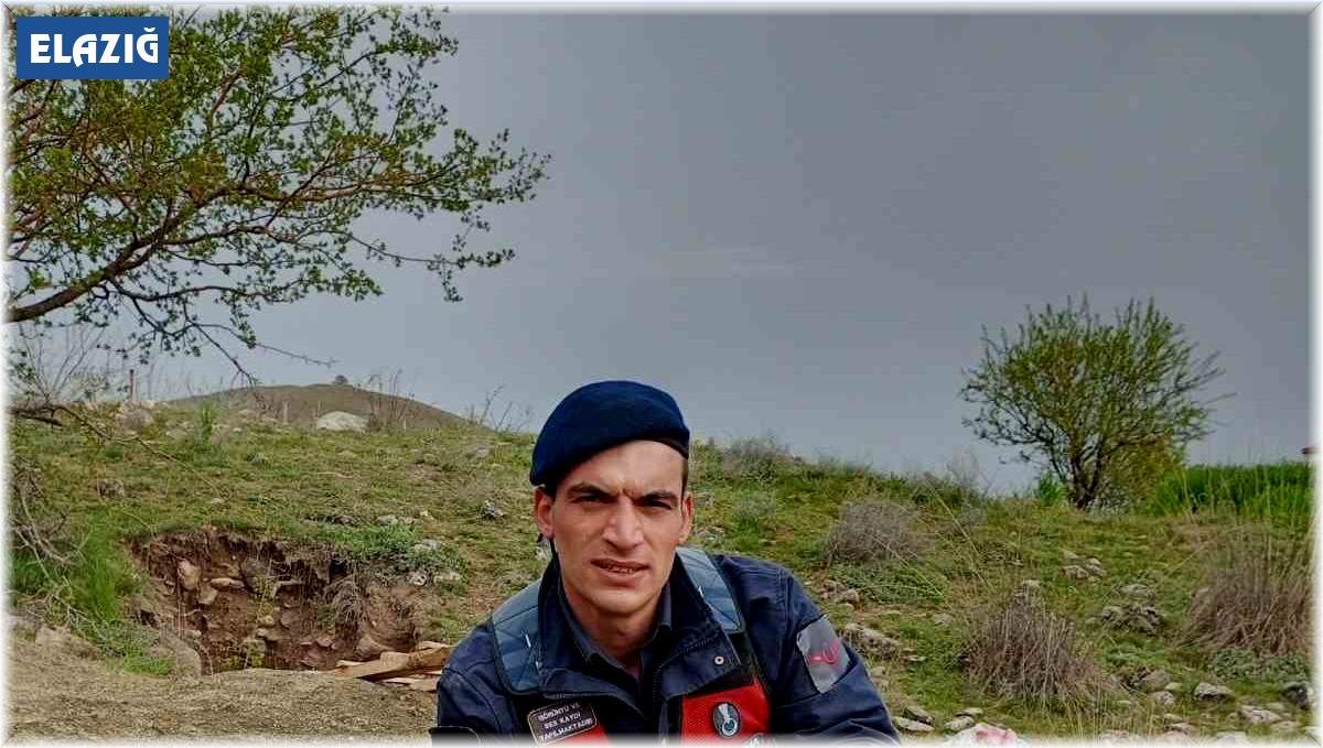 Su kuyusuna düşen şahin jandarma tarafından kurtarıldı