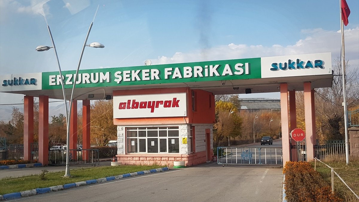 Sukkar Şeker, üretimde geçen yılları katladı