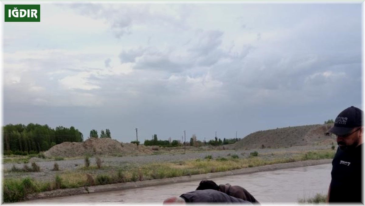 Sulama barajına düşen at kurtarıldı