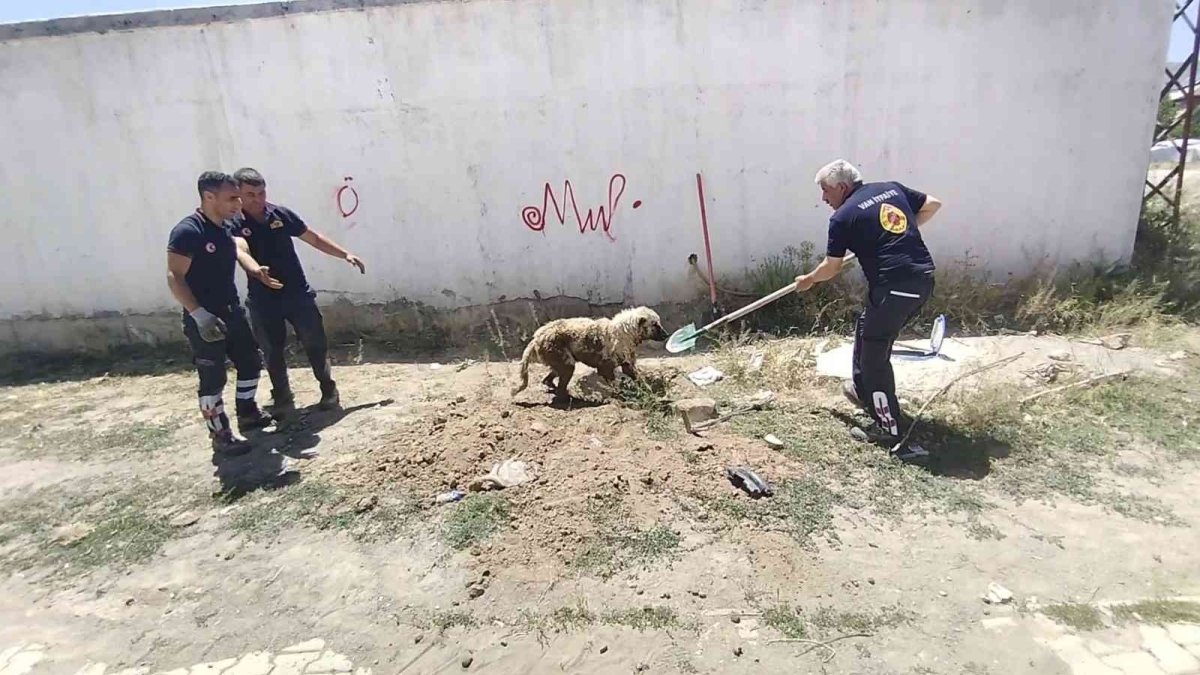 Sulama kanalına düşen köpek kurtarıldı