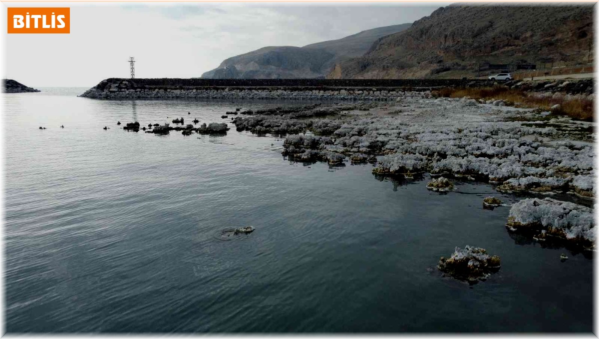Sular çekilince mikrobiyalitler gün yüzüne çıktı, liman kullanılamaz hale geldi