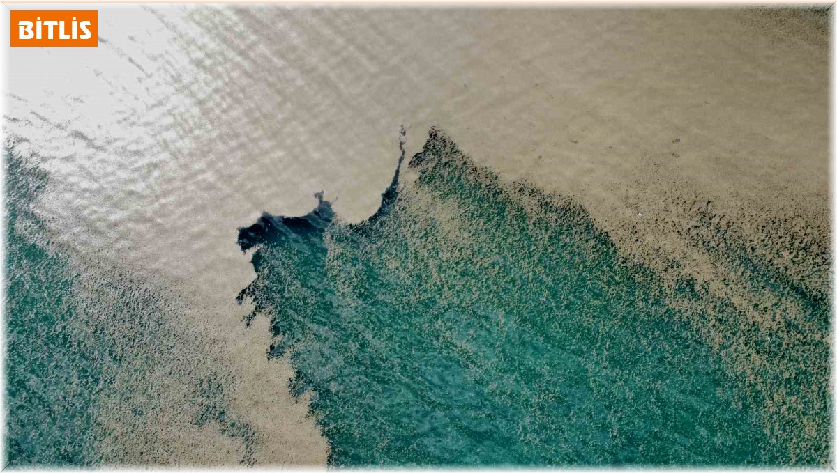 Suların çekilmesiyle Van Gölü sahilleri bataklığa dönüştü