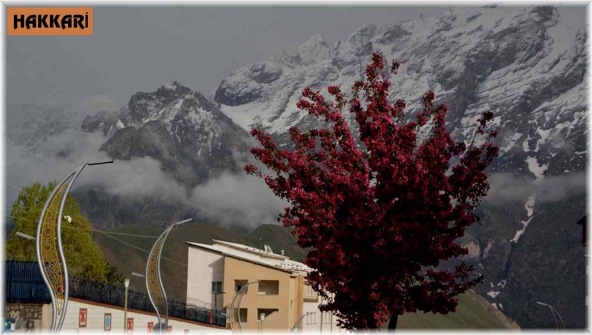 Sümbül Dağı'na kar yağdı