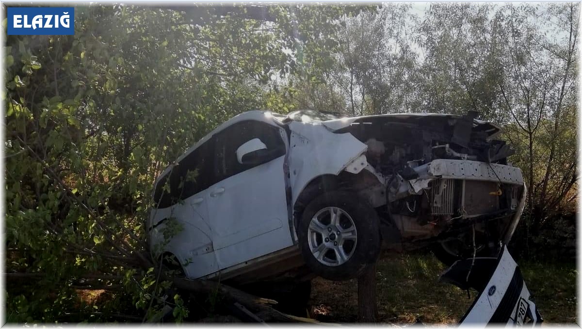 Sürücü kontrolünü kaybetti, ağacı kıran araç asılı kaldı