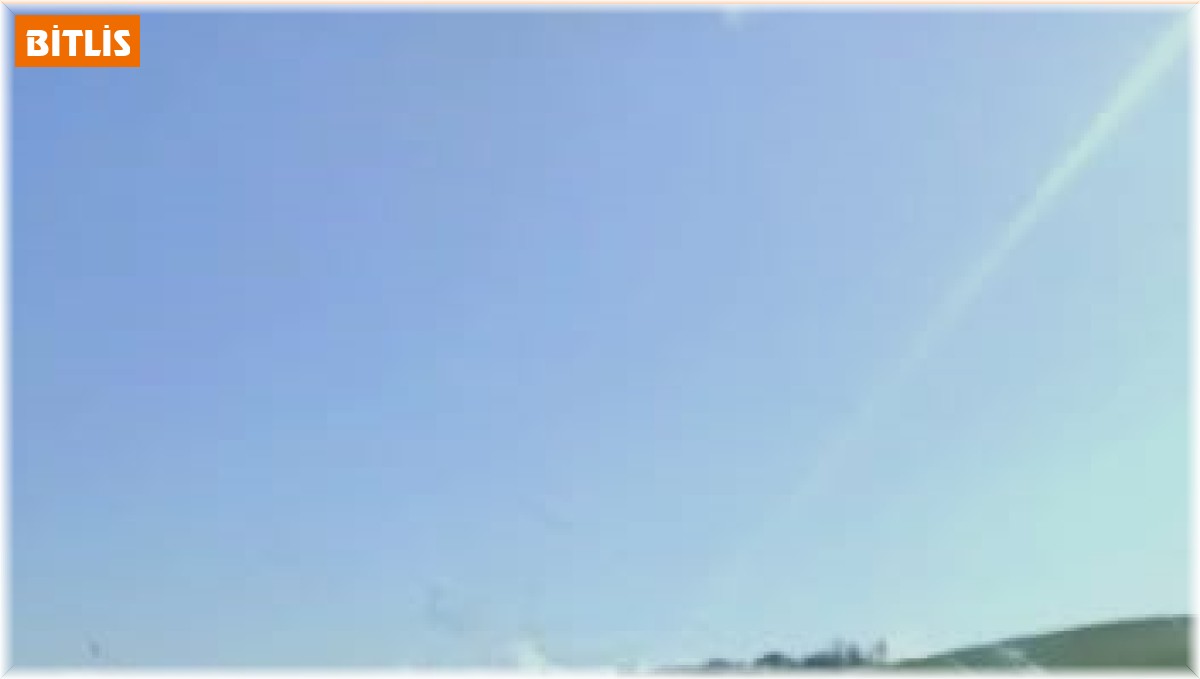 Sürücülerin korkulu rüyası yaban domuzları yola çıkmaya devam ediyor