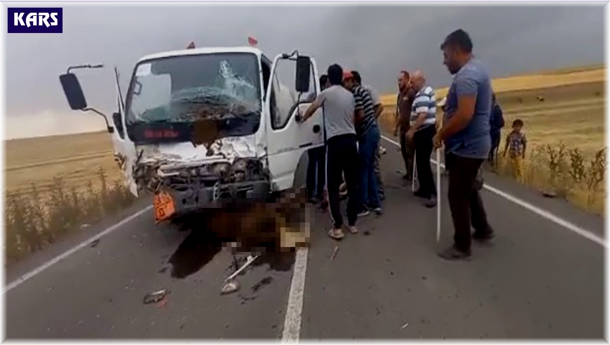 Sürücüsünün direksiyon hakimiyetini kaybettiği tanker, büyükbaş hayvan sürüsüne daldı: 18 hayvan telef oldu