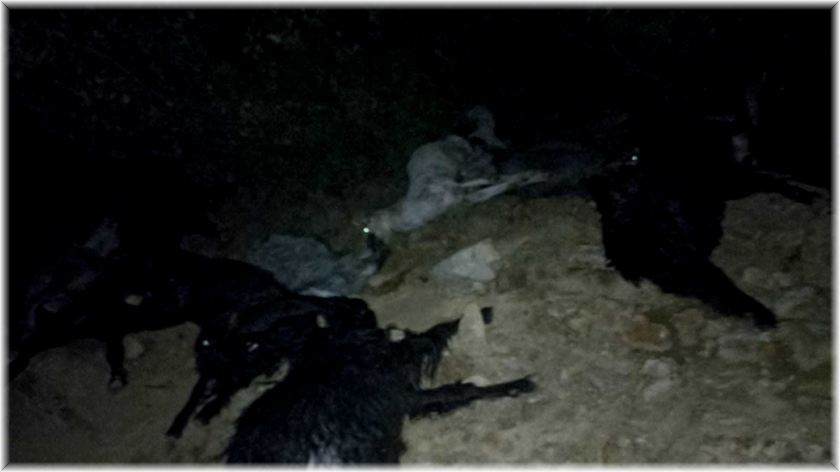 Süt sağım yerine yıldırım düştü: 10 keçi telef oldu