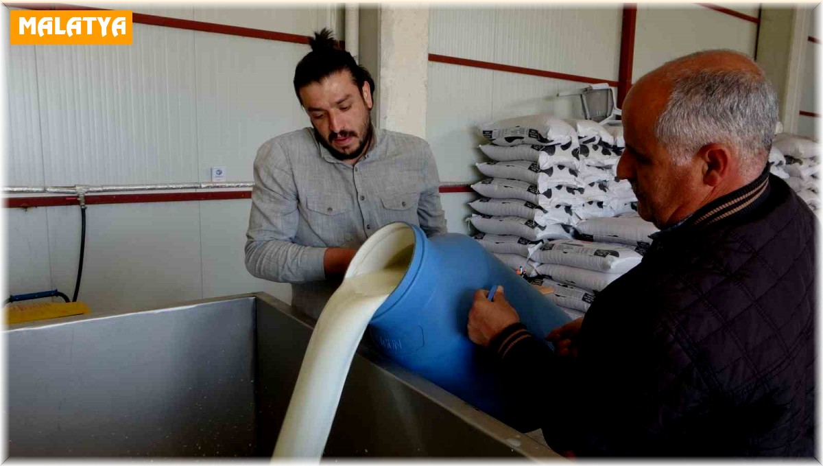 Süt Toplama Merkezleri yaygınlaşıyor