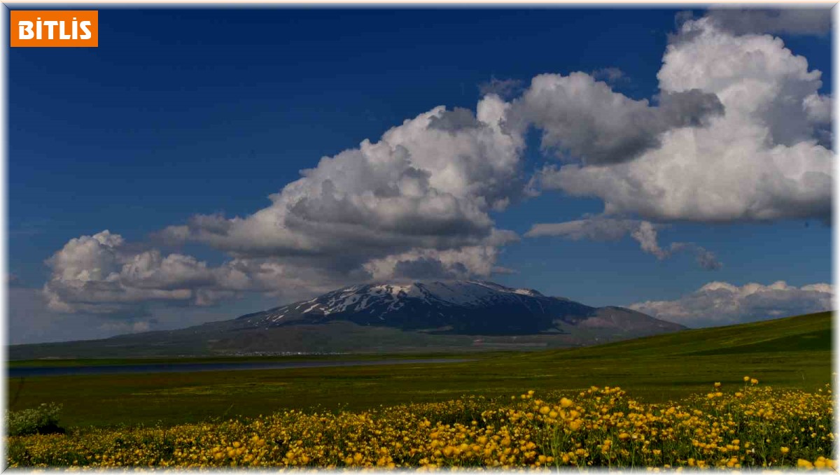Sütey Yaylası ve Süphan Dağı'ndan hayranlık uyandıran görüntüler